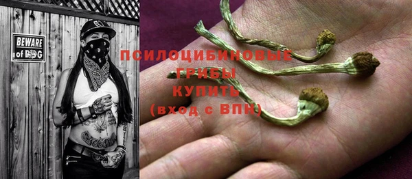 героин Абаза